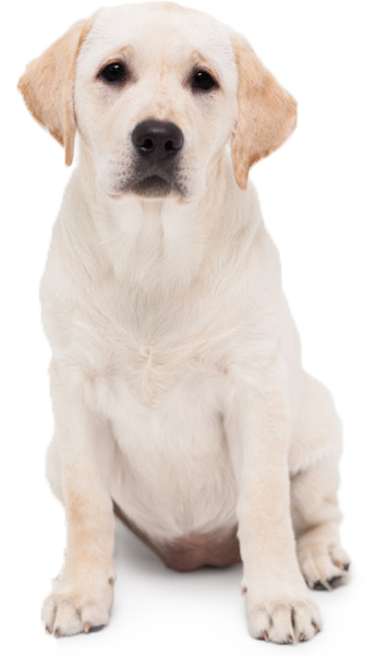 NGUYỄN NHẬT ANH THY